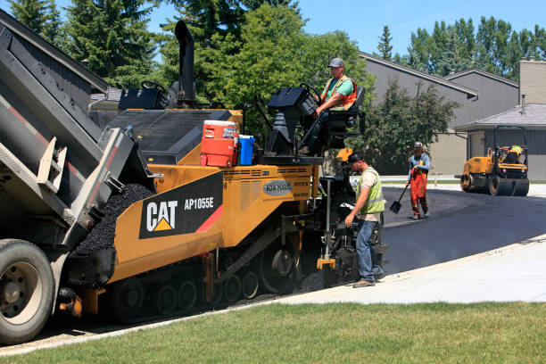 Best Cobblestone Driveway Pavers  in Orange Park, FL